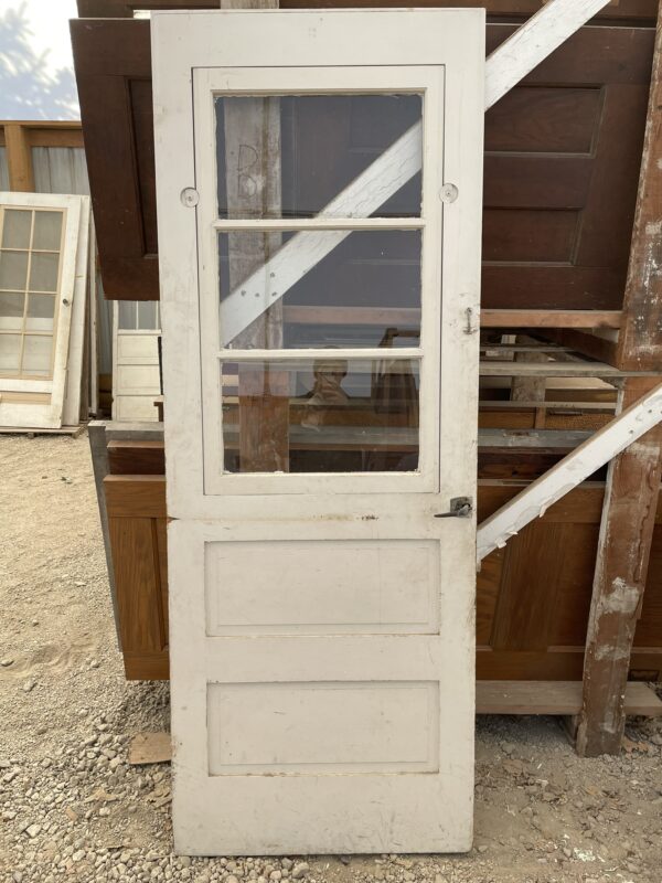 Screen Door with Insert